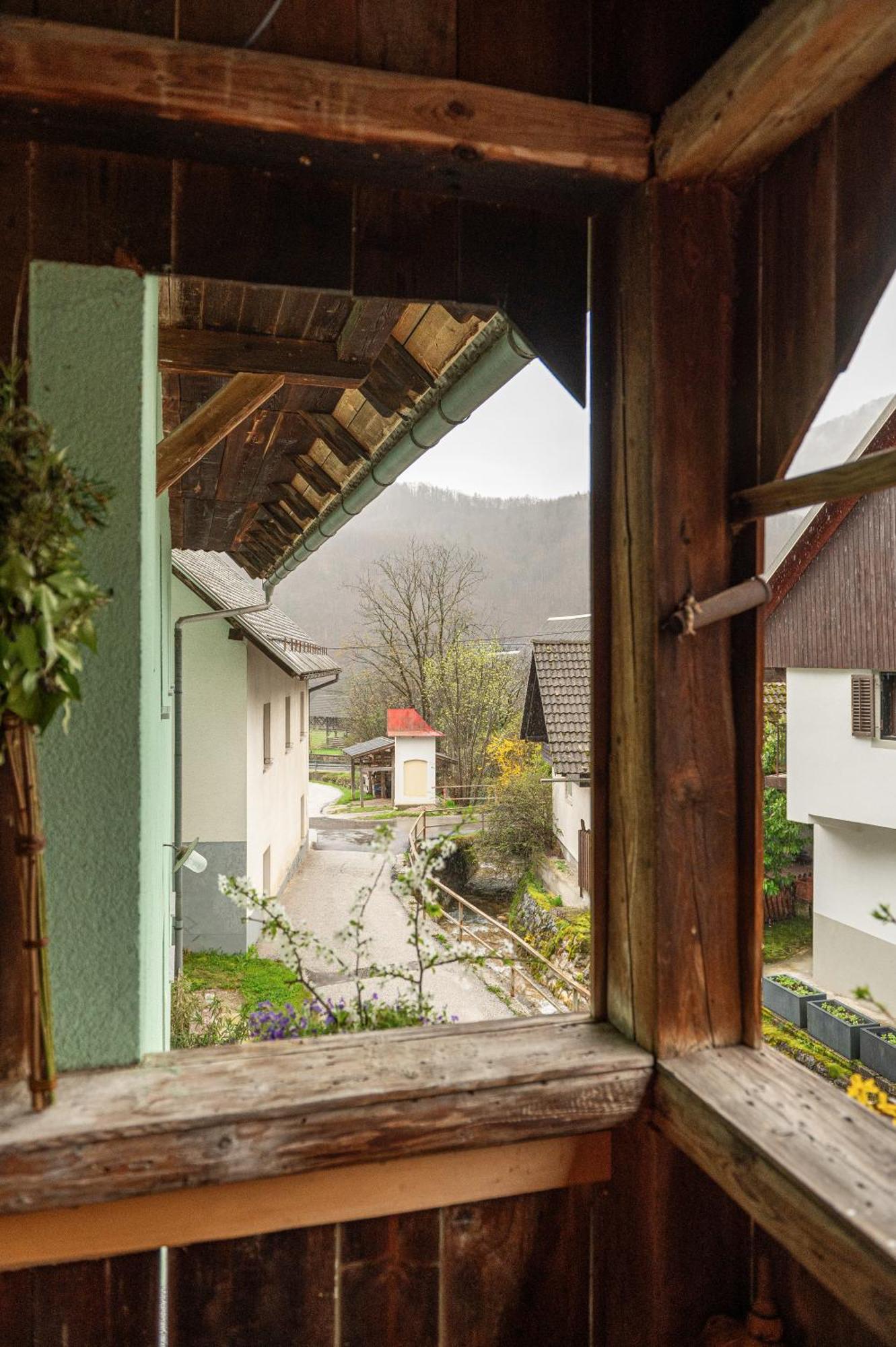 Apartament Zelena Hisa Pri Bjov Bohinjska Bela Zewnętrze zdjęcie