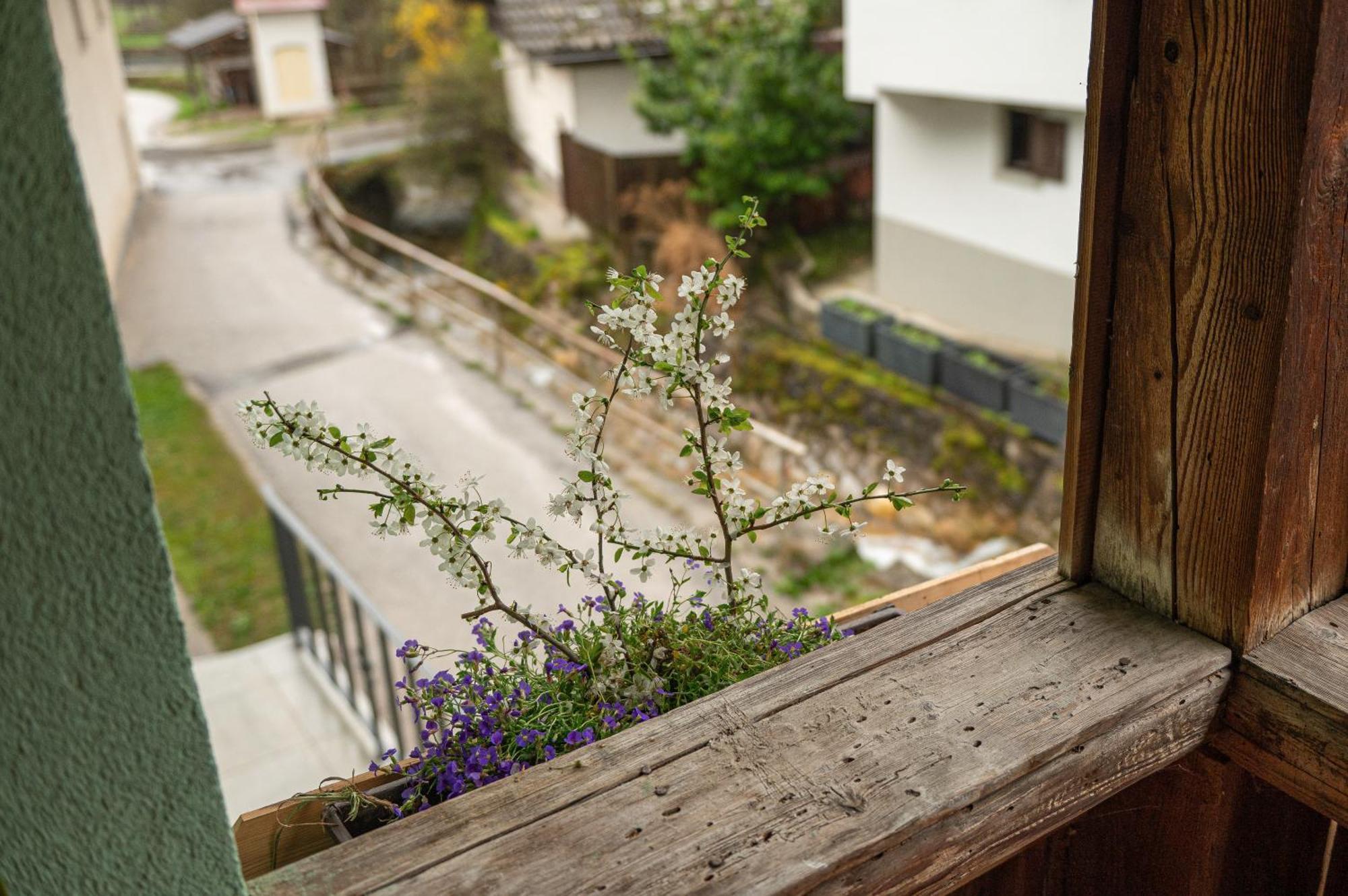 Apartament Zelena Hisa Pri Bjov Bohinjska Bela Zewnętrze zdjęcie