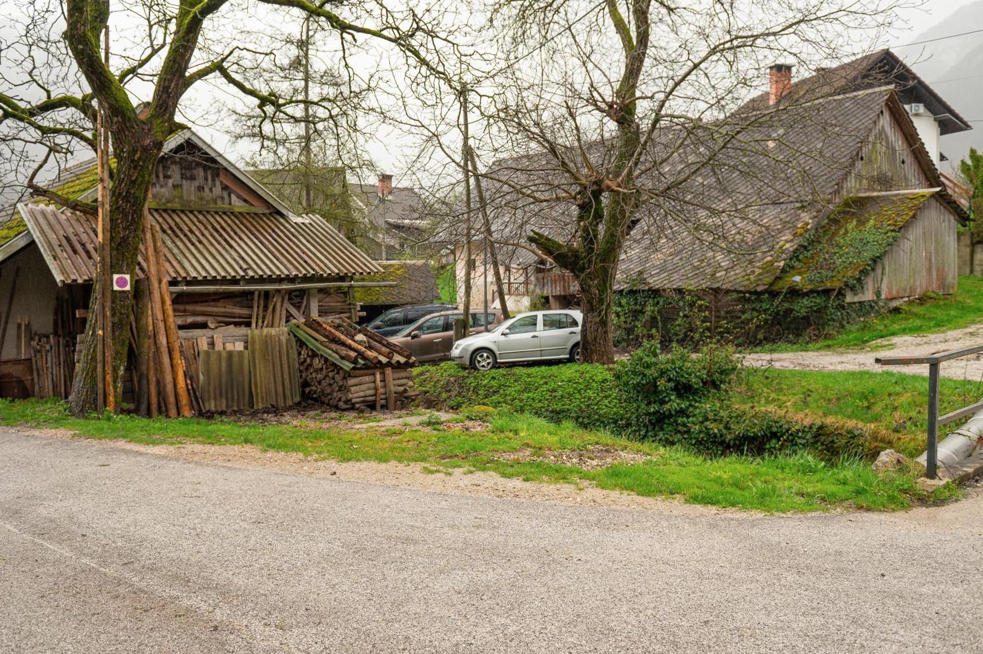 Apartament Zelena Hisa Pri Bjov Bohinjska Bela Zewnętrze zdjęcie