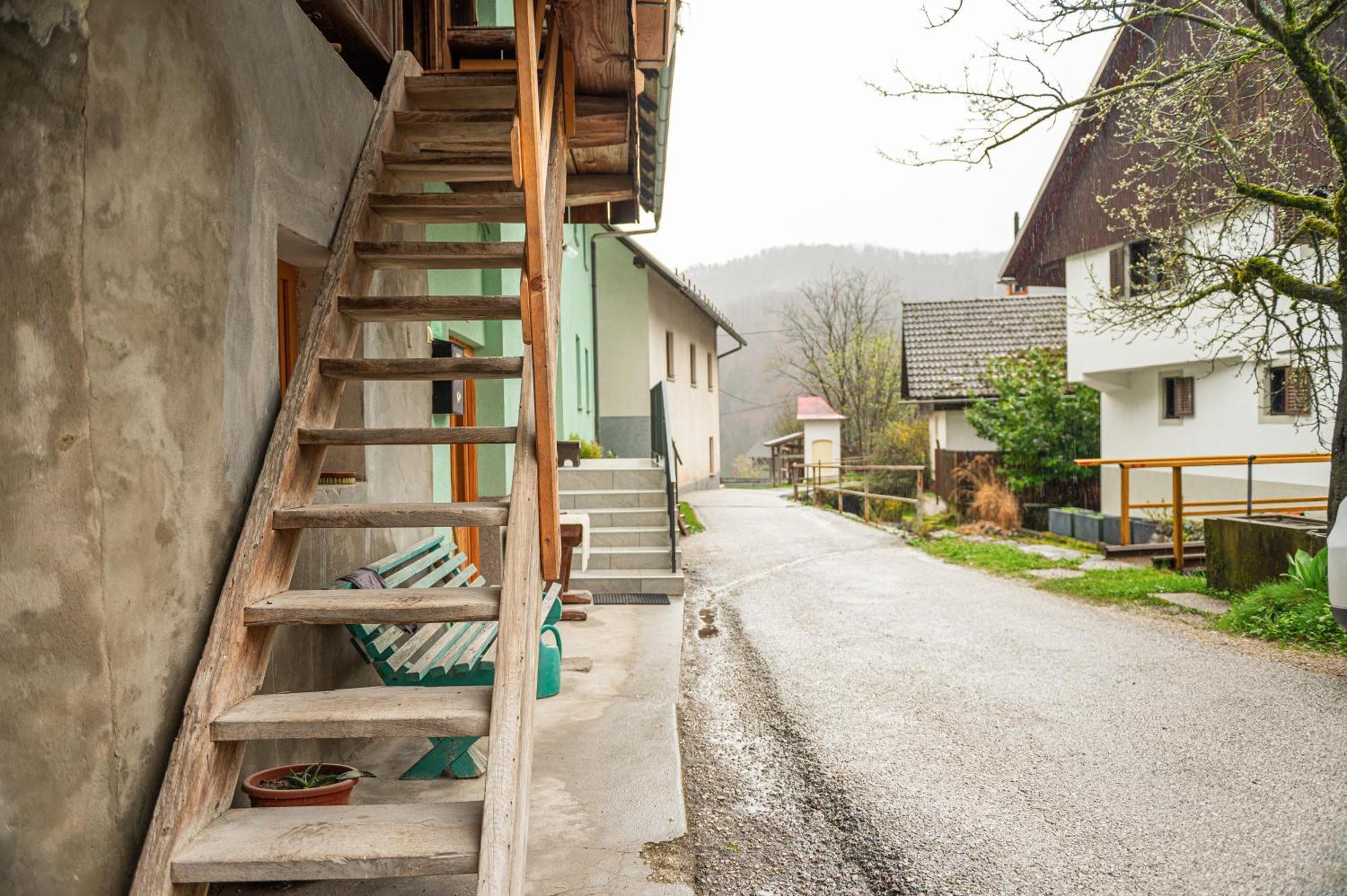 Apartament Zelena Hisa Pri Bjov Bohinjska Bela Zewnętrze zdjęcie
