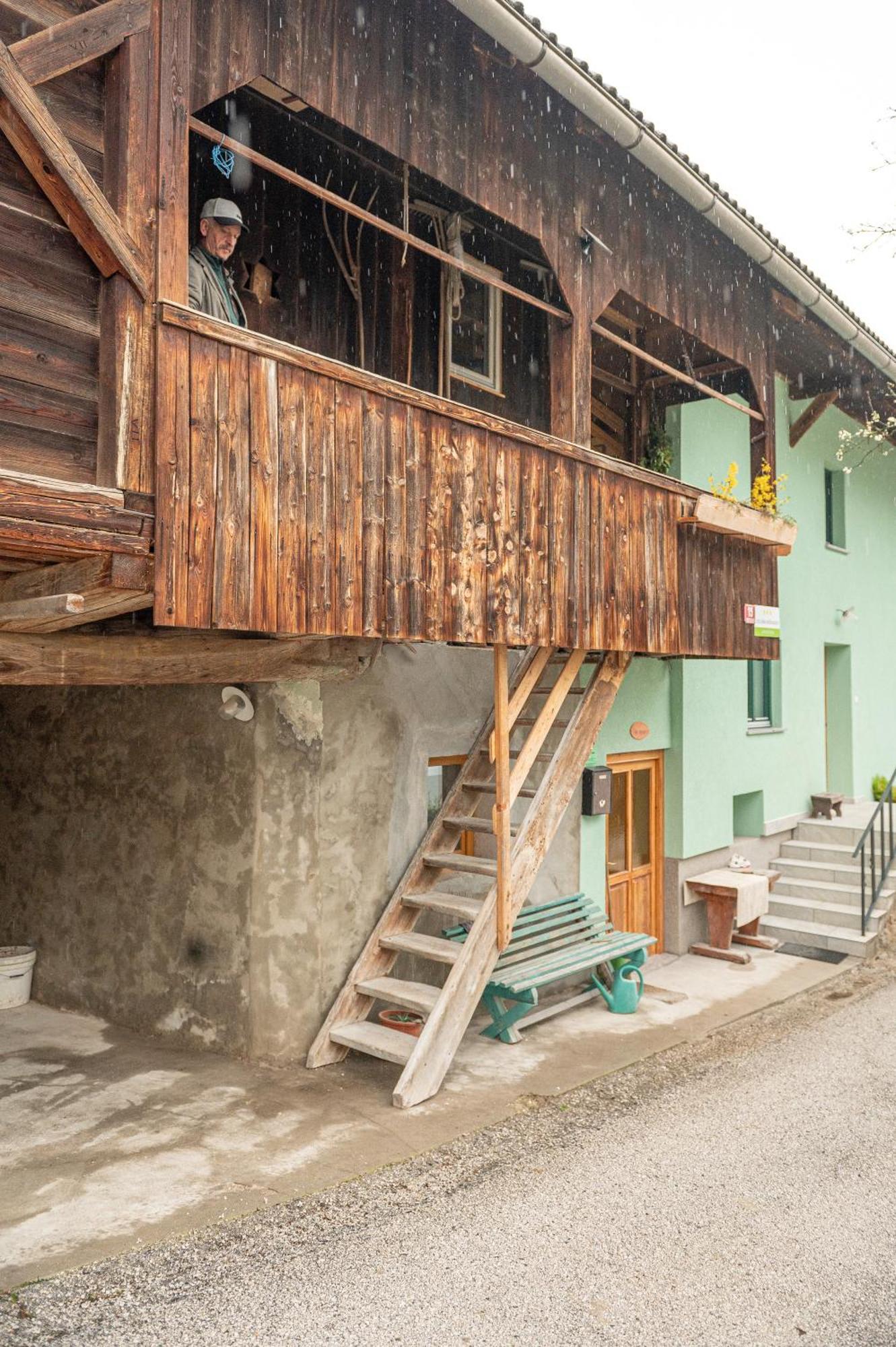 Apartament Zelena Hisa Pri Bjov Bohinjska Bela Zewnętrze zdjęcie