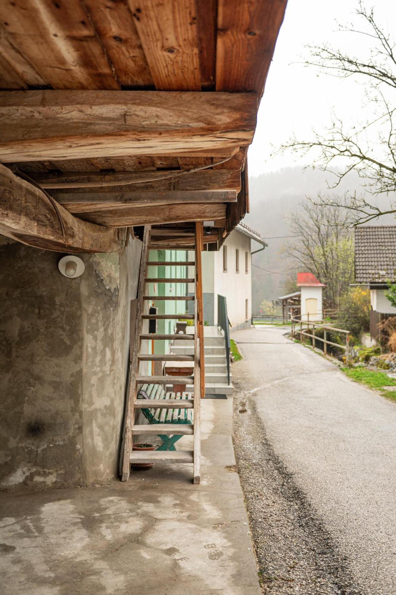 Apartament Zelena Hisa Pri Bjov Bohinjska Bela Zewnętrze zdjęcie