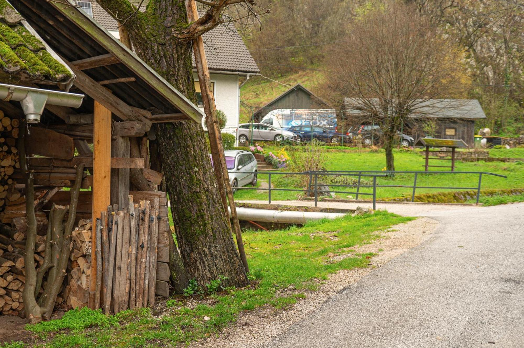 Apartament Zelena Hisa Pri Bjov Bohinjska Bela Zewnętrze zdjęcie
