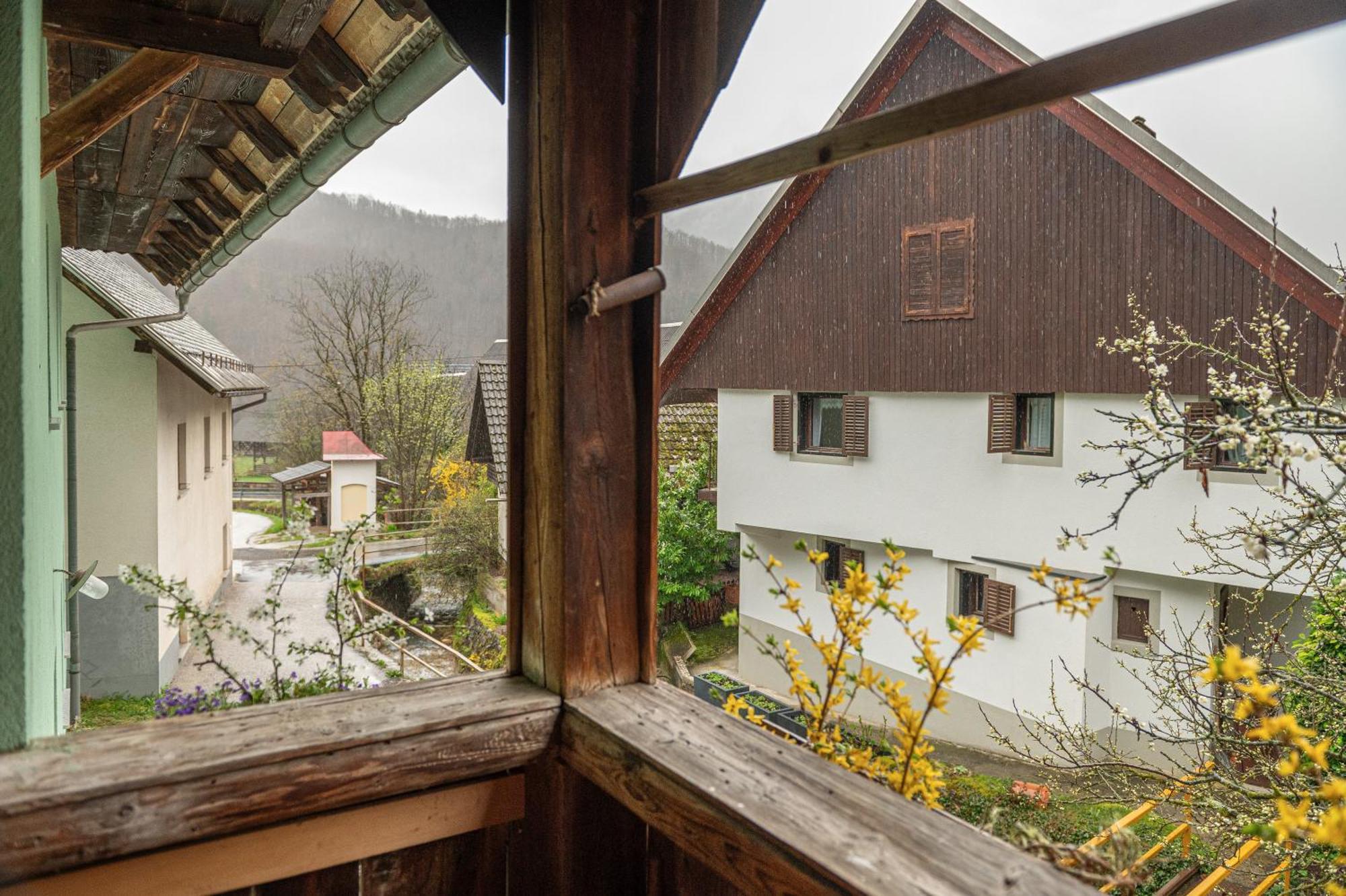 Apartament Zelena Hisa Pri Bjov Bohinjska Bela Zewnętrze zdjęcie